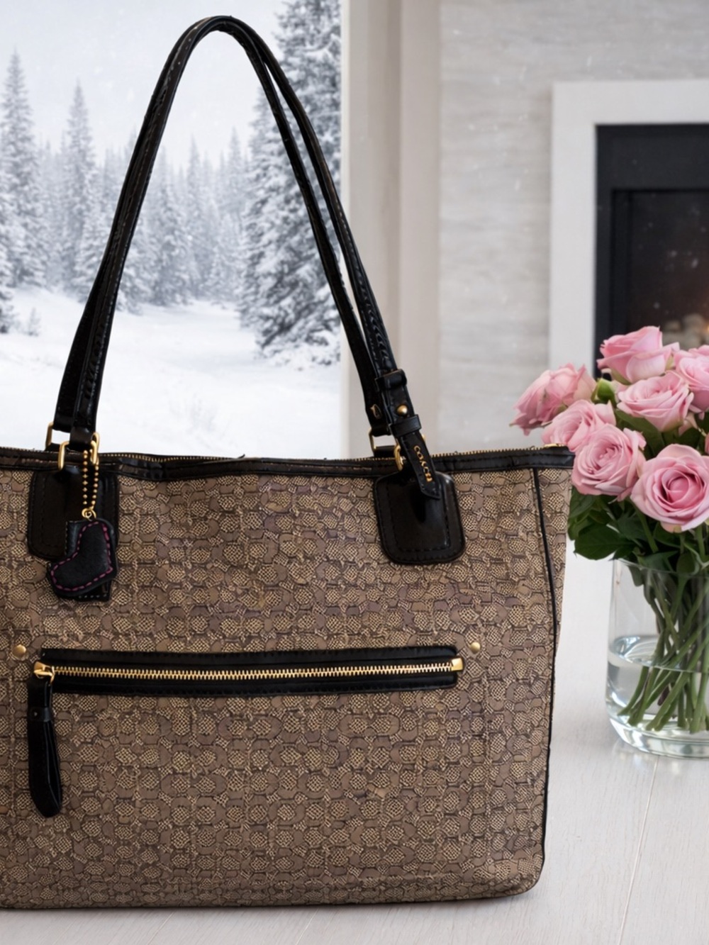 Coach Poppy 2018 Oxford Signature Tote Rehab